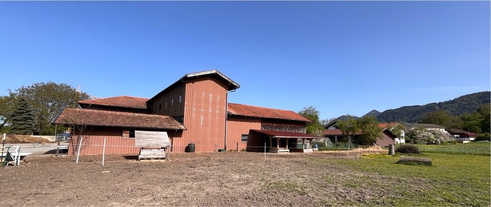 Pferdebox / Einstellplatz / Stute / Wallach / Rentner / Pony in Bernau am Chiemsee