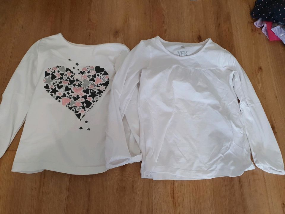 20x Mädchen Langarmshirts Gr.128 in Magdeburg