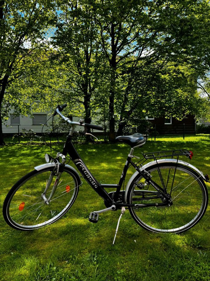 Fahrrad Pegasus in Harsewinkel