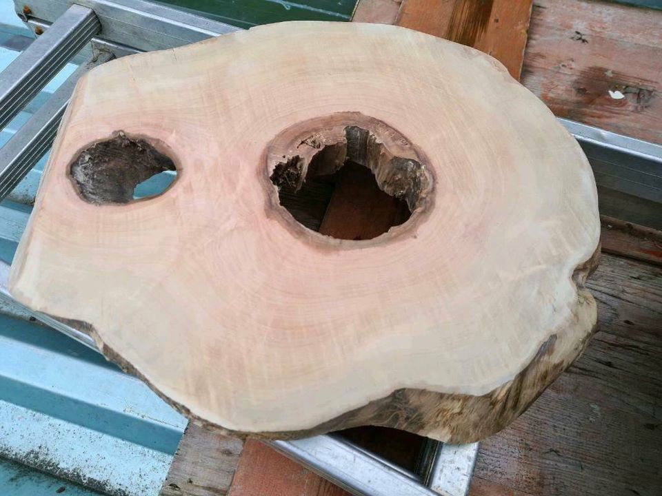 Holz Scheiben für Epoxidharz in Mietingen