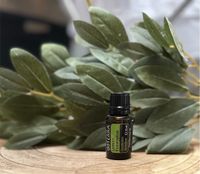 Doterra Lemon Eucalyptus Bayern - Pfaffing Vorschau