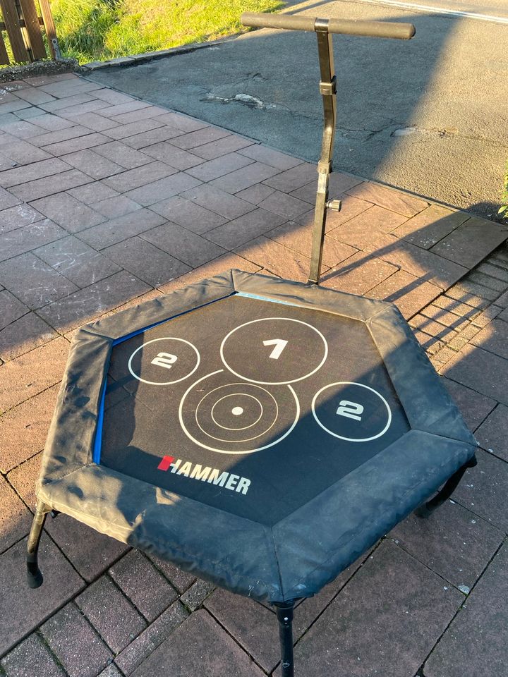 Trampolin Hammer in Neuenkirchen