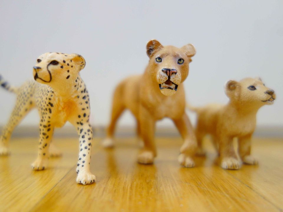7 Tiere von Schleich: Löwenfamilie, Strauß, Gepard, Husky in Köln