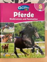 Pferde Buch Sachsen - Plauen Vorschau