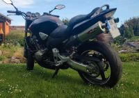 Honda Hornet CB 900 F SC48 Sachsen-Anhalt - Teutschenthal Vorschau