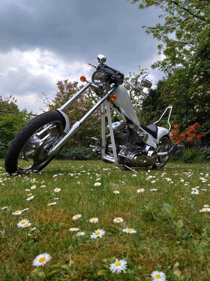 American Ironhorse Perlmutt weiss Texas Chopper Highnecker in Hamburg