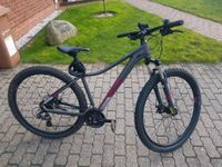 Fahrrad Mountainbike Trekkingbike Crossbike Nordfriesland - Bredstedt Vorschau