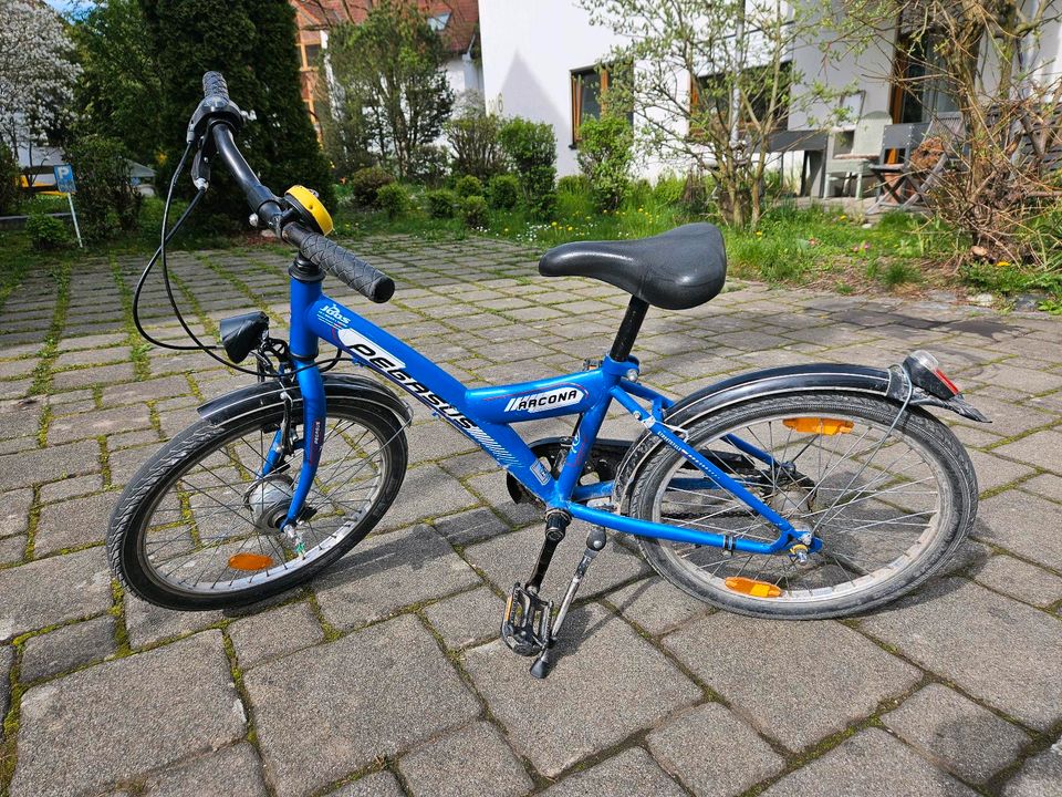 Kinderfahrrad Fahrrad Pegasus 20 Zoll in Steißlingen