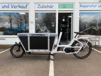 Urban Arrow Cargo Flatbed XL Lastenrad E-Bike Stuttgart - Bad Cannstatt Vorschau