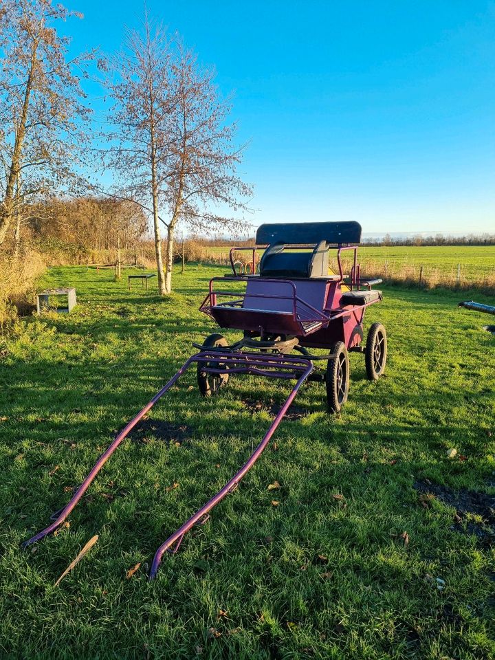 Marathonwagen/Trainingswagen Ein- und Zweispänner Kutsche in Otterndorf