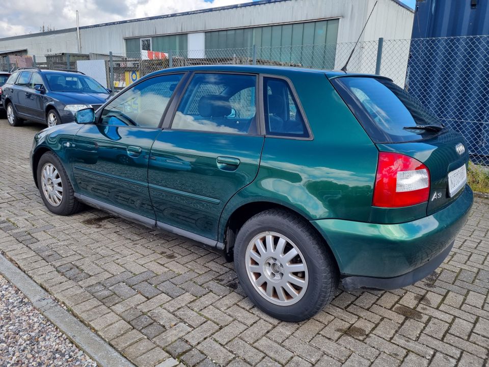 Audi A3 1.6 | Klimaautomatik | elektr. SSD | Alcantara | TÜV NEU in Neumünster