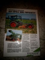 Fendt Geräteträger F231 GTW Traktor Bayern - Cadolzburg Vorschau