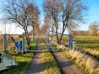 Gartentor Hoftor Niedersachsen - Ovelgönne Vorschau