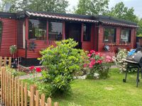 Neu renovierte, voll möblierte Campinghütte / Tiny House Niedersachsen - Seesen Vorschau