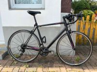 Canyon Endurace WMN AL 7.0 Rennrad Größe L Nordrhein-Westfalen - Kalletal Vorschau