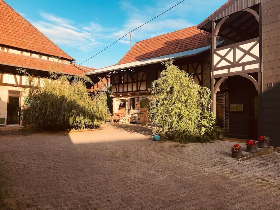 Gemütliche Landhaus Ponyhof FerienWohnung Kamin & Garten & Pferde in Ortenberg