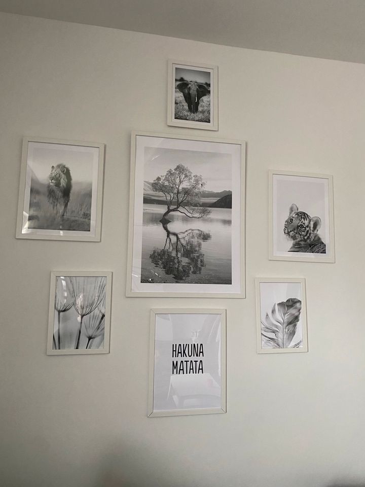 7 Bilder von Posterstore inkl. IKEA Bilderrahmen in Bassum