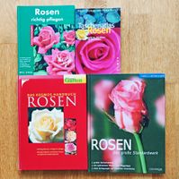Bücher Rosen Pflege Pflegen Garten Ratgeber Pflanzen Tipps Rose Leipzig - Plagwitz Vorschau