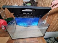 aquarium 60l Harburg - Hamburg Fischbek Vorschau