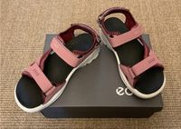 NEU! ecco Sandale BIOM RAFT blush / morillo Gr. 33 Pankow - Prenzlauer Berg Vorschau