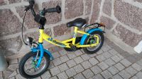 Kinderfahrrad 12 Zoll Pegasus Sachsen - Großweitzschen Vorschau