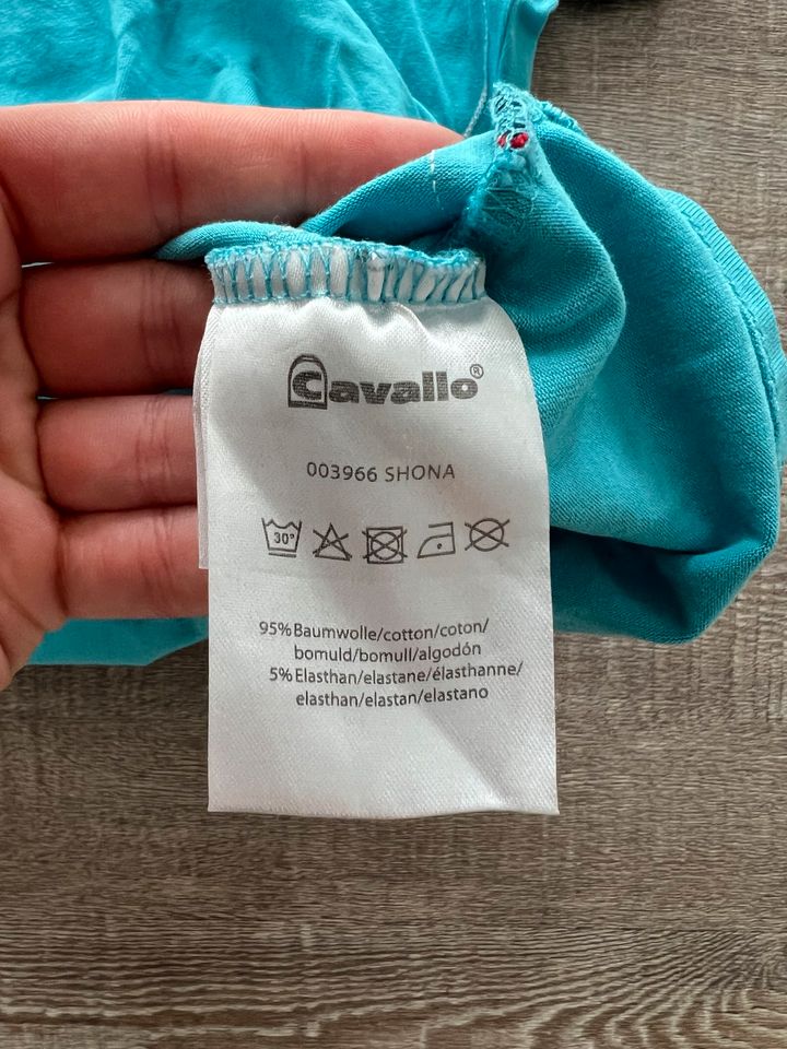 Cavallo Shona Tshirt Hellblau/Türkis in Rosengarten