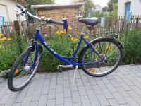 Fahrrad 26 Zoll Rixe blau Shimano Nexus Schaltung Brandenburg - Panketal Vorschau