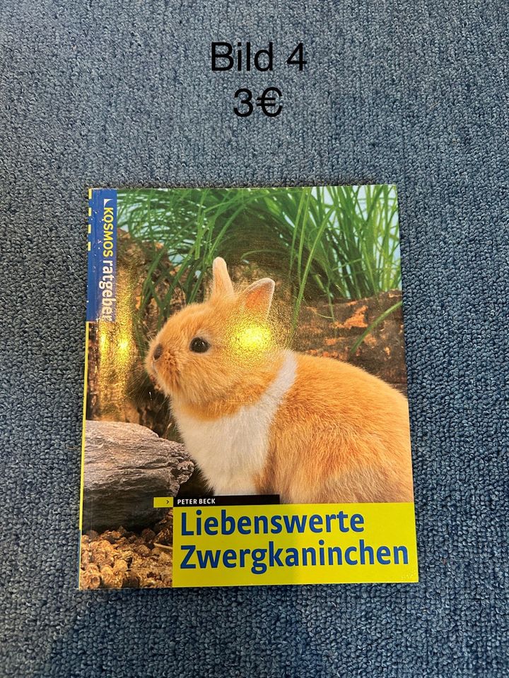 Verschiedene Bücher in Esens