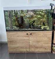 Aquarium 400l komplett mit Besatz, Unterschrank Deko und Zubehör Bayern - Westendorf b Kaufbeuren Vorschau