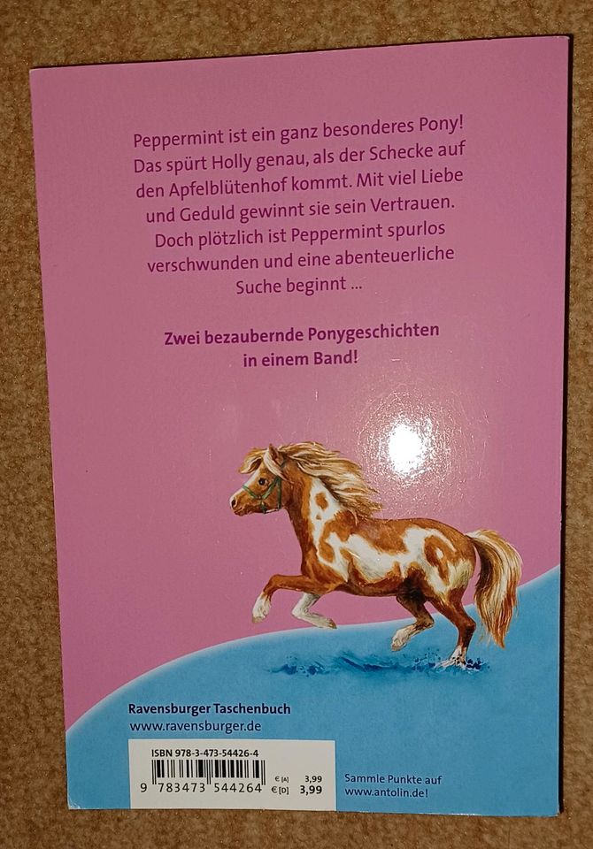 Ein Pony für Holly Kinderbuch in Sehnde