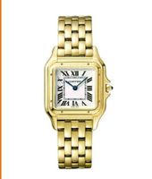 SUCHE  CARTIER PANTHERE UHR GOLD Münster (Westfalen) - Centrum Vorschau