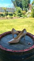 högl high Heel Pumps NEU in Nude-Lackleder (Gr. 6 / 39) Baden-Württemberg - Sontheim Vorschau