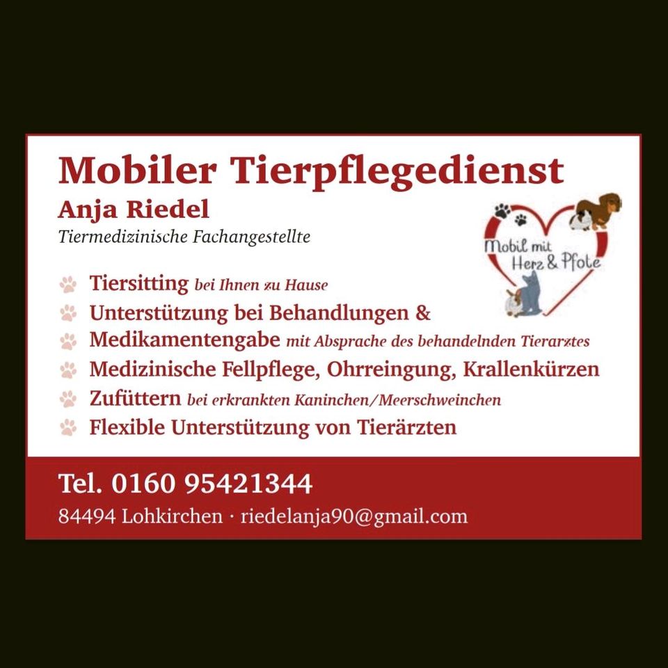 Mobiler Tierpflegedienst/Tiersitting in Lohkirchen