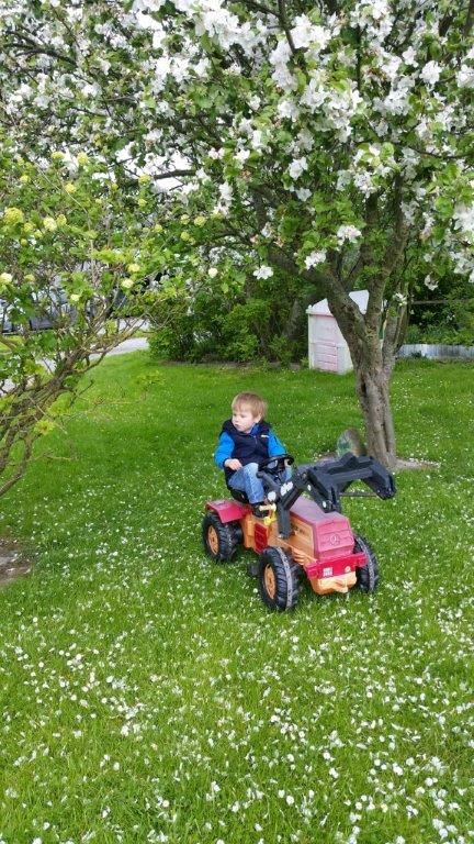 Ferienwohnung Nähe St.Peter-Ording ab 19.05. frei in Stuttgart