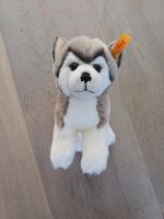 Steiff Baby Husky Hund top Bernie 17cm Stofftier Nordrhein-Westfalen - Mönchengladbach Vorschau