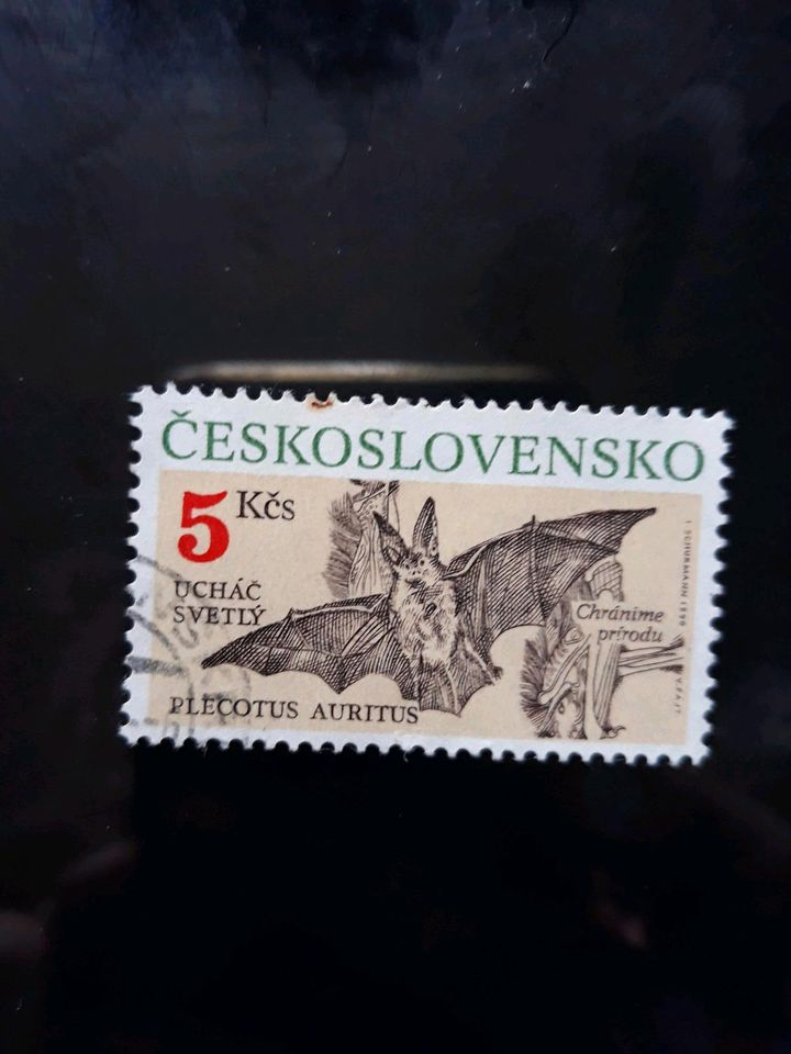 Tschechoslowakei ceskoslovensko 1990 Fledermaus in Tübingen