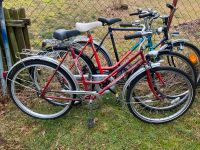 Fahrrad gebraucht, technisch überholt, second life bike, DIAMANT Brandenburg - Beelitz Vorschau