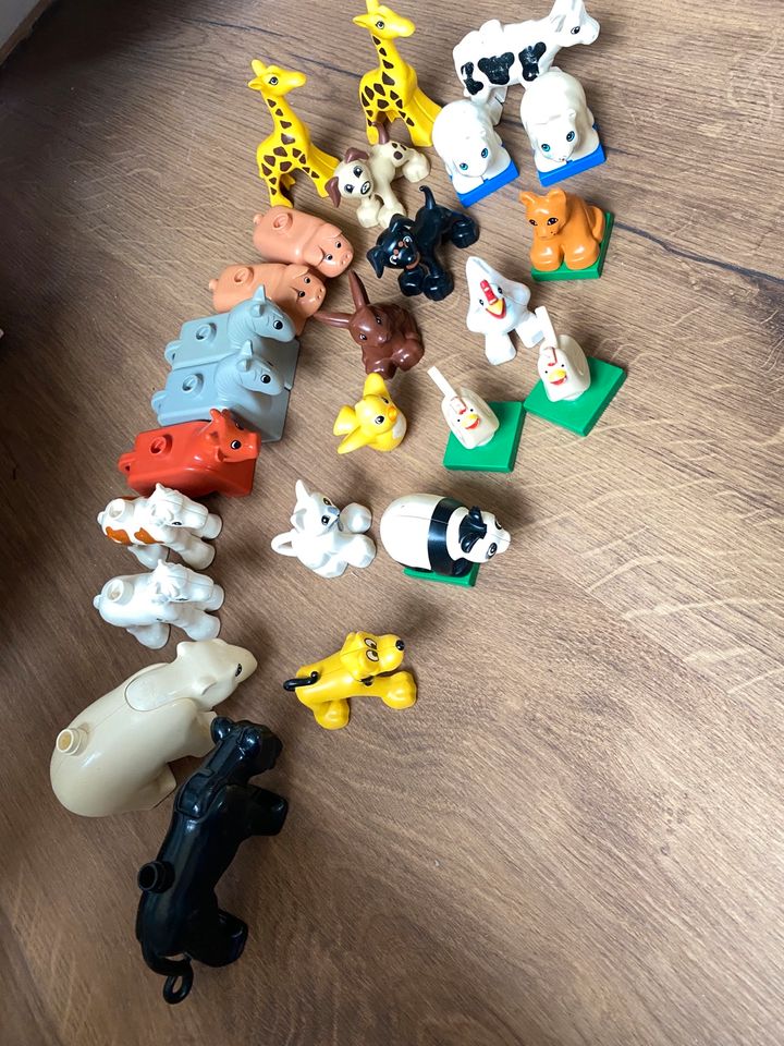 Lego Duplo Steine Tiere Fahrzeuge Platten in Osterholz-Scharmbeck