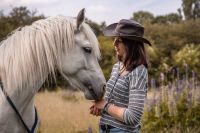 Tierfotografie - Pferdefotografie Nordrhein-Westfalen - Bad Berleburg Vorschau