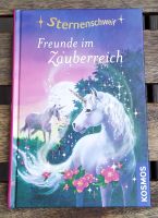 Kinderbuch: Freunde im Zauberreich (Sternenschweif) Dresden - Neustadt Vorschau