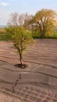 Steine Brechen Asphalt Straßenbau Garten Baufeldberäumung Wegebau Thüringen - Apolda Vorschau