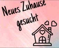 Wohnungssuche 3-4 ZKB in Gießen Hessen - Grünberg Vorschau