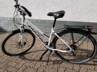 hochwertiges WINORA Damenfahrrad weiß RH 46 cm 28 Zoll Bayern - Mespelbrunn Vorschau