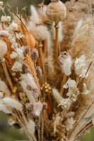 Trockenblumen Strauß Deko Hochzeit Boho Pampas Hessen - Eltville Vorschau