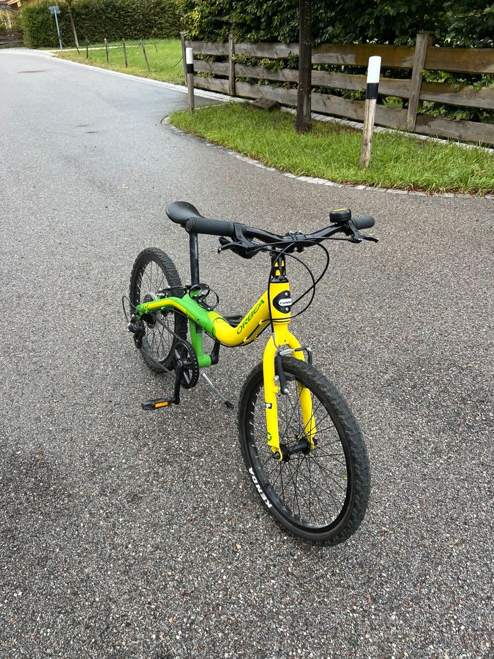 Orbea Grow 2 Kinderrad (20" - Zoll) 7-Gang Shimano in Aschau im Chiemgau