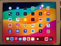 Apple iPad Pro(12,9 inch) 2018, Gen2 Stuttgart - Stuttgart-Ost Vorschau