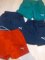 Puma Shorts, Sporthosen Paket Baden-Württemberg - Ilvesheim Vorschau