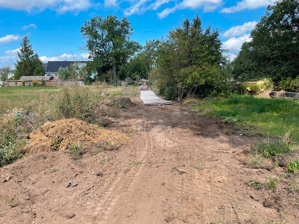 Erdarbeiten,Schachtarbeiten,Bagger,Grundstück,Garten,Neubau in Beilrode