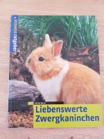 Kosmos Liebenswerte Zwergkaninchen Baden-Württemberg - Zuzenhausen Vorschau