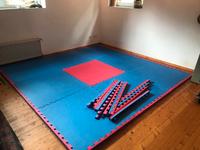 9 Judo BJJ Turnmatten Steckmatten rot/blau 1m x 1m Brandenburg - Schildow Vorschau